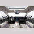 Pure electric luxury SUV Hongqi EHS9